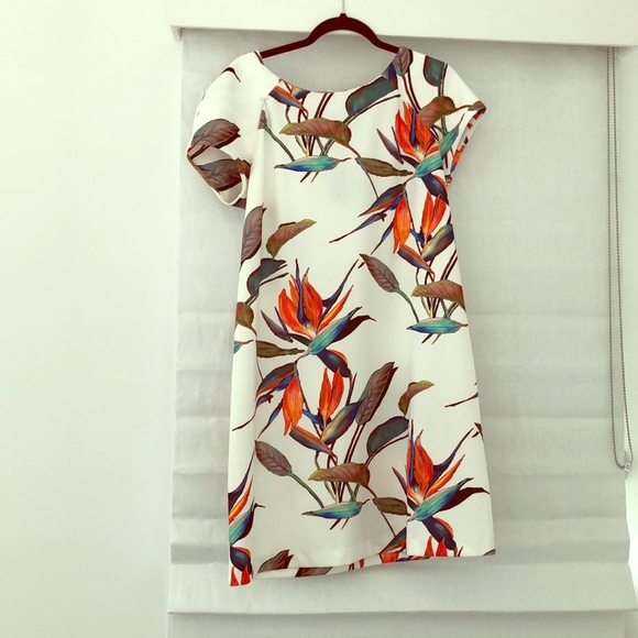 Italian designer maternity dress - Picture 1 of 2